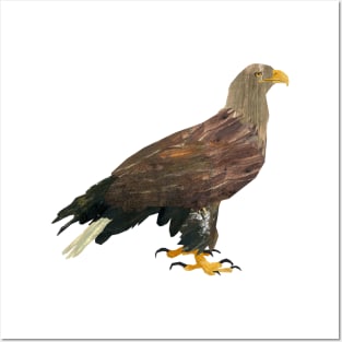 Eagle standing Posters and Art